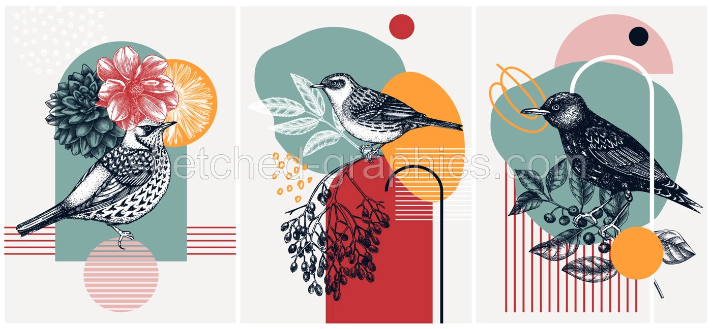Collage-style bird cards set. Sketched birds trendy poster collection. Creative designs with botanical illustrations, geometric shapes, and abstract elements for nature print, wall art, packaging.  Illustration